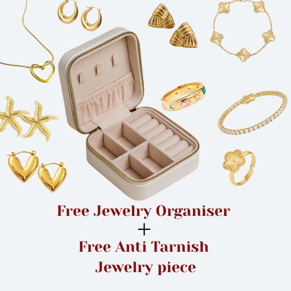 Jewelry Organiser + Anti Tarnish Jewelry piece