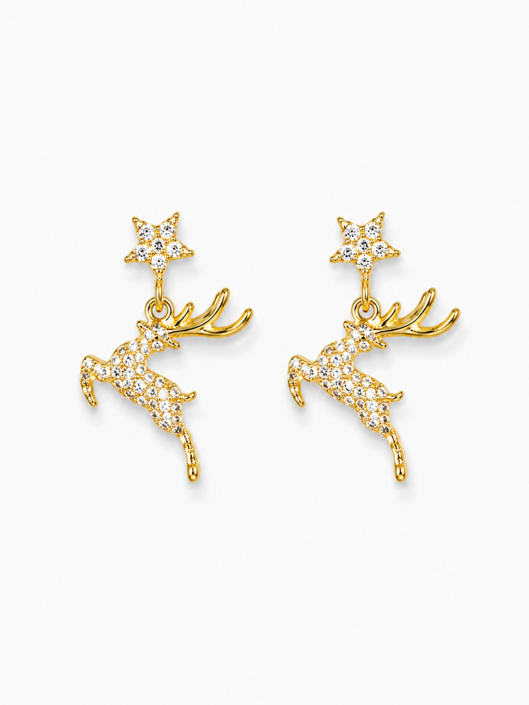 Reiny Earrings